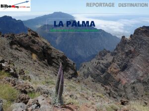 Carnet de voyage
